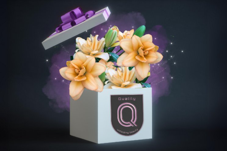 Qualily’s Surprise Selection verrast handel