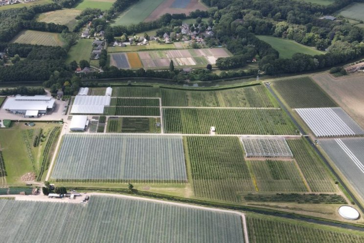 Delphy aandeelhouder van proeftuin Randwijk Delphy aandeelhouder van proeftuin Randwijk