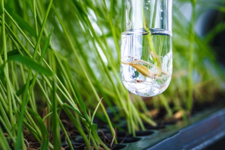 WUR werkt met Plant2Food aan snelle eiwittransitie WUR werkt met Plant2Food aan snelle eiwittransitie