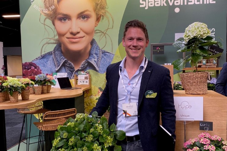 Veelbelovende reacties op hortensia-aanbod