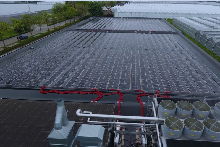 2.800 zonnepanelen voor Van der Drift Roses 2.800 zonnepanelen voor Van der Drift Roses