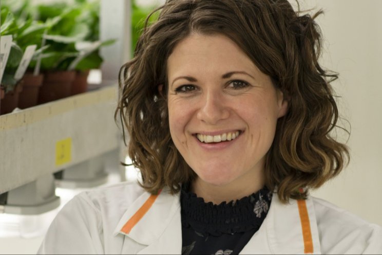 Dümmen Orange stelt nieuwe R&D-directeur aan