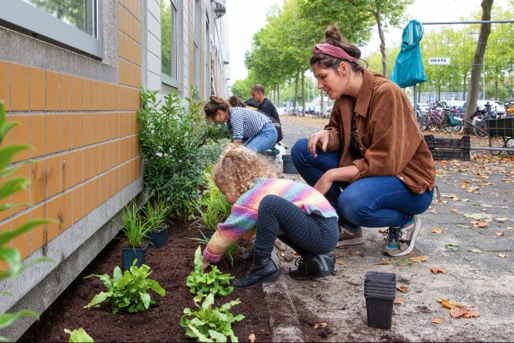 Nederland kleurt groen Nederland kleurt groen