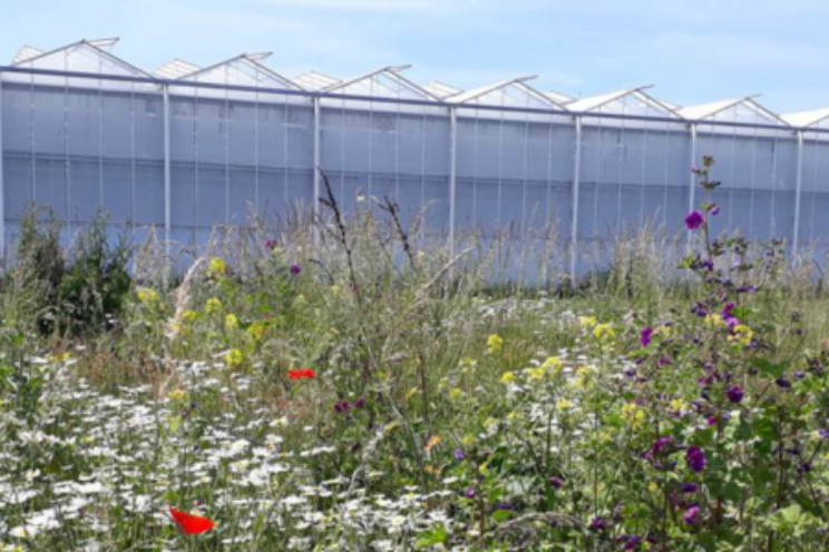 Deelnemers gezocht voor biodiversiteits-project Deelnemers gezocht voor biodiversiteits-project