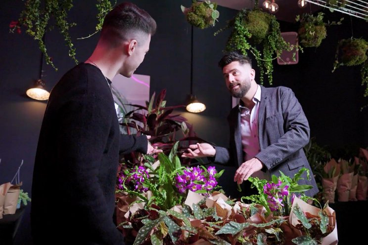 Speeddaten voor perfecte plant-ner Speeddaten voor perfecte plant-ner
