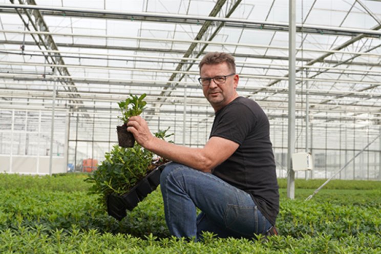 Continu blijven werken aan weerbare planten