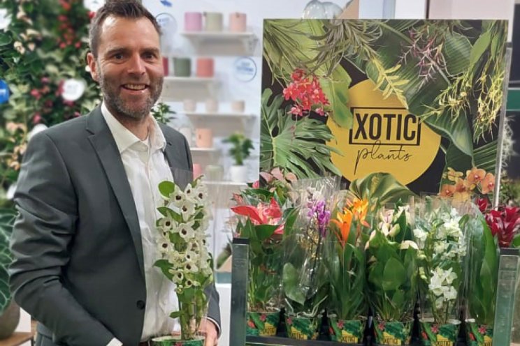 Logico introduceert uniek epifytenconcept 'XOTIC' Logico introduceert uniek epifytenconcept 'XOTIC'
