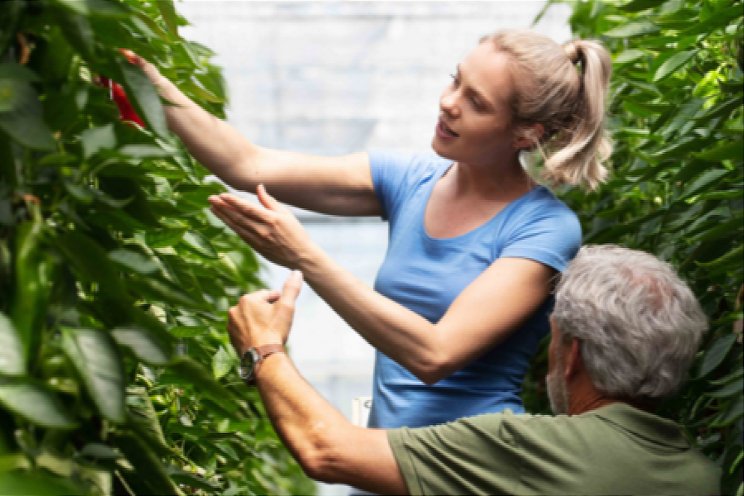 'Investeer in ontwikkeling internationale werknemer'