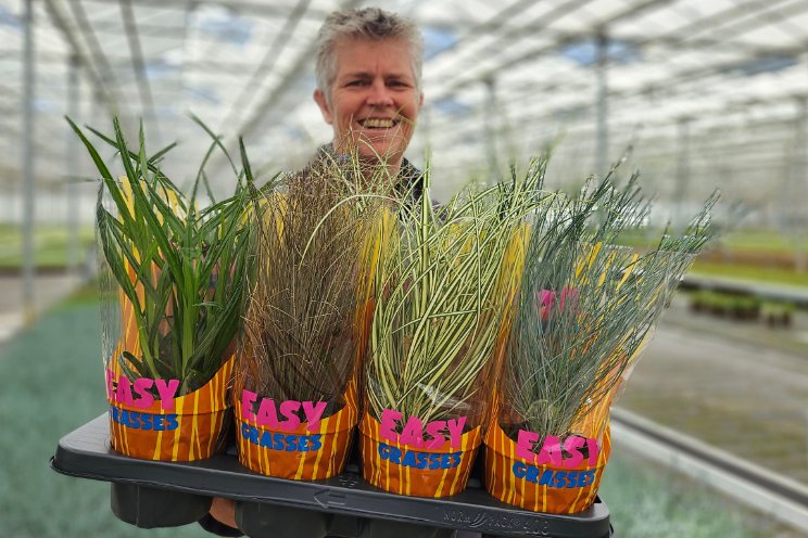 Allure breidt assortiment 'Easy Grasses' uit Allure breidt assortiment 'Easy Grasses' uit