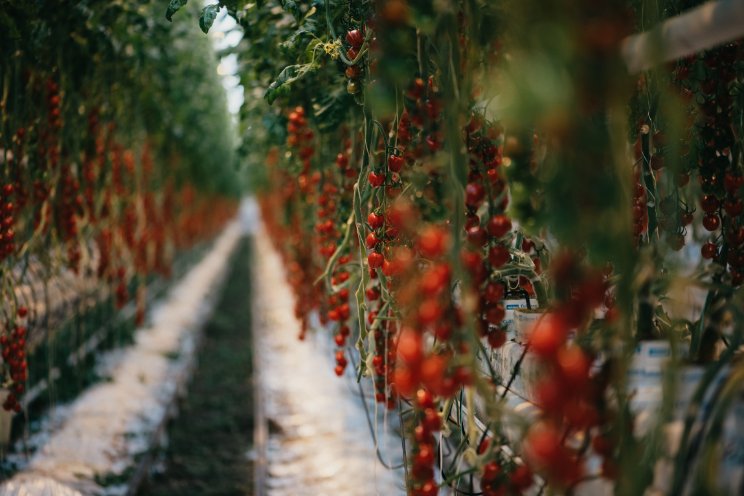Source.ag ontvangt miljoeneninvestering Source.ag ontvangt miljoeneninvestering