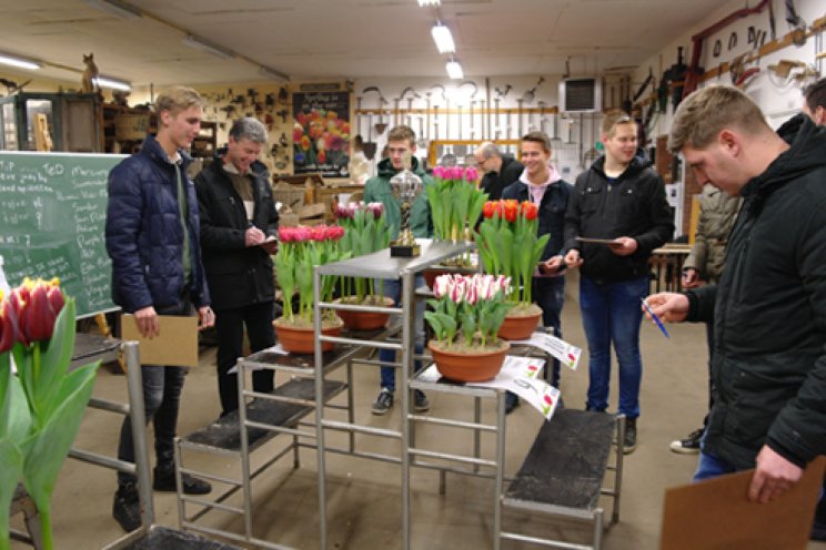 Data Tulpenkeuren Data Tulpenkeuren