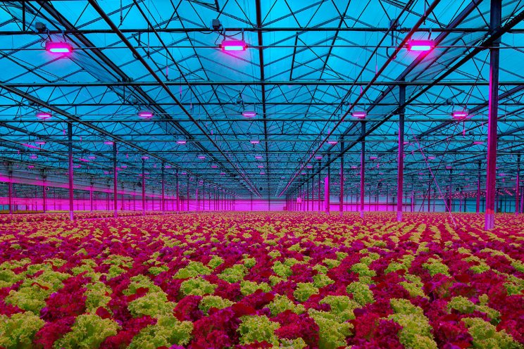 DLC listing watergekoelde LED-armarturen Oreon DLC listing watergekoelde LED-armarturen Oreon