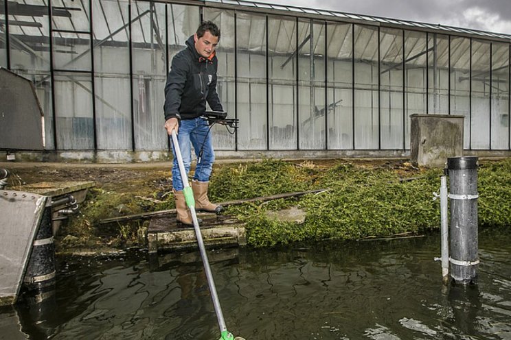 'Opnieuw veel fouten gemaakt bij teeltwisseling' 'Opnieuw veel fouten gemaakt bij teeltwisseling'