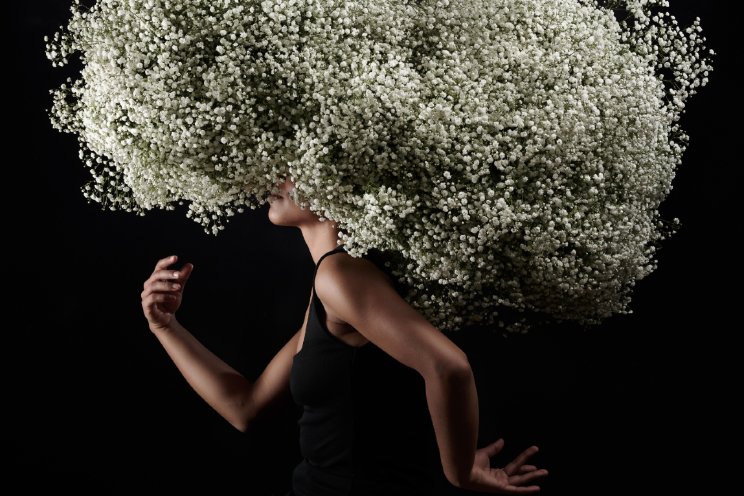 Promotiekit voor Grandtastic gypsophila Promotiekit voor Grandtastic gypsophila