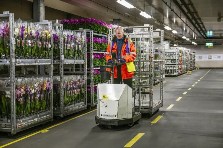 
Start orderpicken planten Naaldwijk op 18 januari
