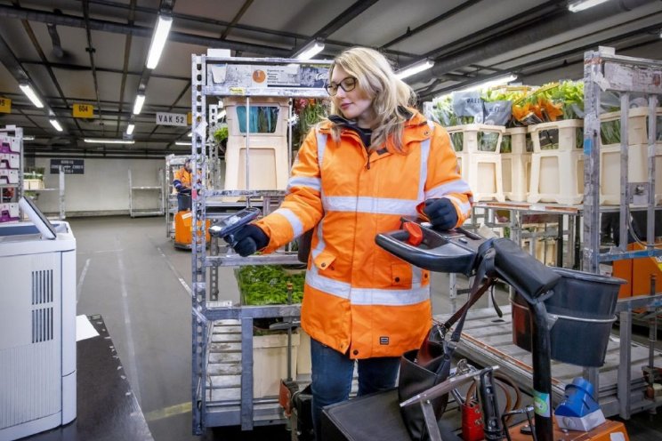 Piekperiode: dit ging wel goed, maar dit kan beter Piekperiode: dit ging wel goed, maar dit kan beter