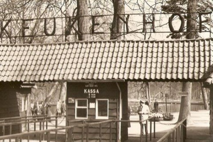 Documentaire Keukenhof Documentaire Keukenhof