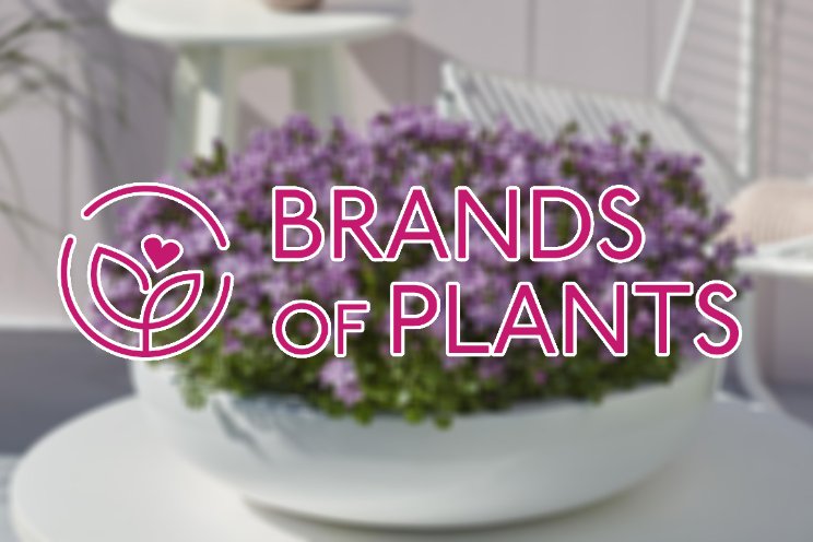 Drie plantenmerken versterken samenwerking Drie plantenmerken versterken samenwerking