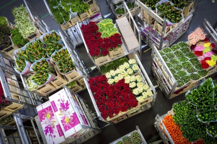 Klokvoorverkoop dagomzet breekt records Klokvoorverkoop dagomzet breekt records
