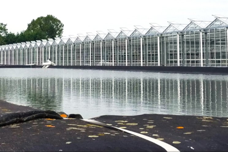 Tweede fase in project voorzuiveren waterberging Tweede fase in project voorzuiveren waterberging