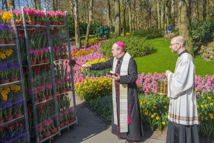 Bloemen weer onderweg naar Sint-Pietersplein Bloemen weer onderweg naar Sint-Pietersplein