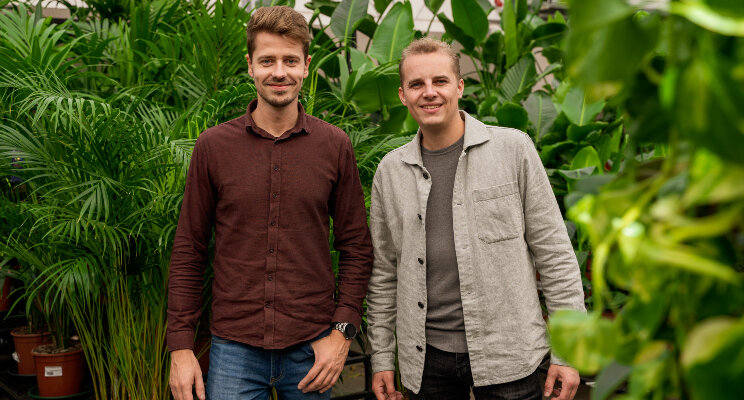 Nieuwe online marktplaats voor sierteelt: Everspring