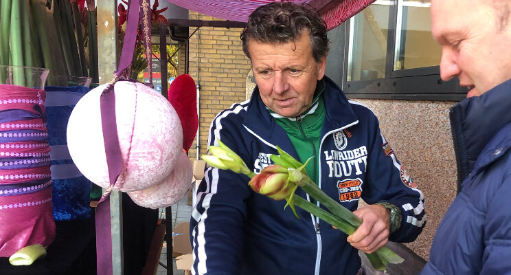 Amaryllisseizoen van start met pop-up store Amaryllisseizoen van start met pop-up store