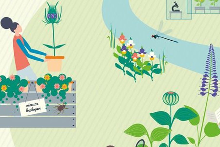Glastuinbouw kweekt biodiversiteit Glastuinbouw kweekt biodiversiteit