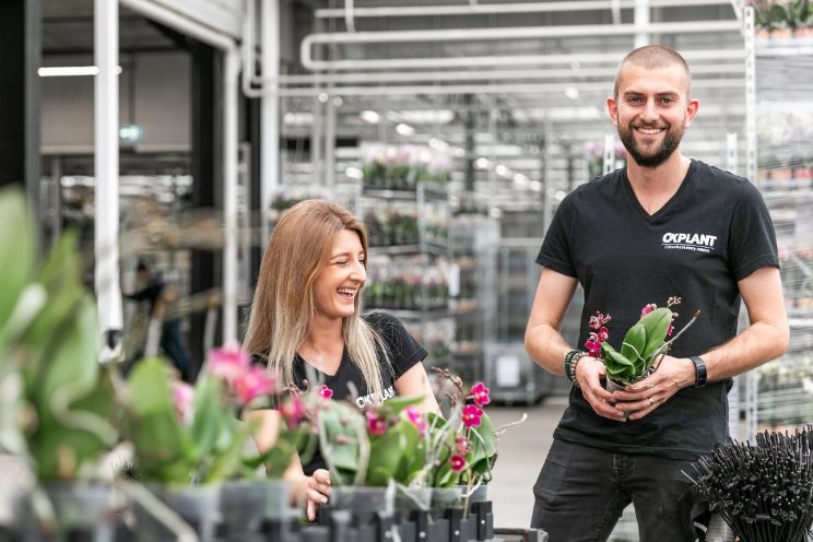 OK Plant en Koppert Cress genomineerd door Stigas OK Plant en Koppert Cress genomineerd door Stigas