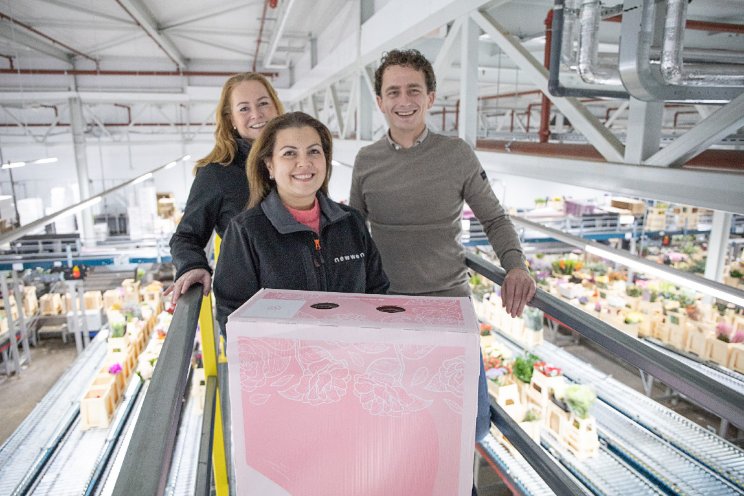 Primeur Hoek flowers met recyclebare exportdoos