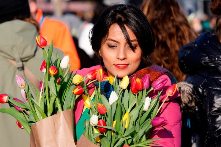 Tulpenseizoen van start! Tulpenseizoen van start!