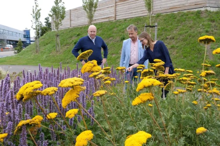 Belang van biodiversiteit Belang van biodiversiteit