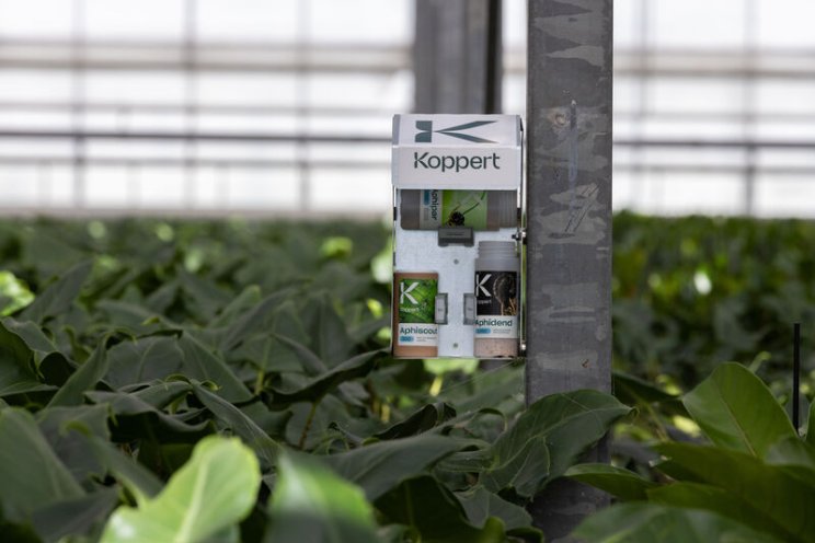 Nieuw: Aphid-BioStation Nieuw: Aphid-BioStation