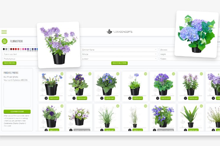 Ruim 2.000 plantfoto's Ruim 2.000 plantfoto's