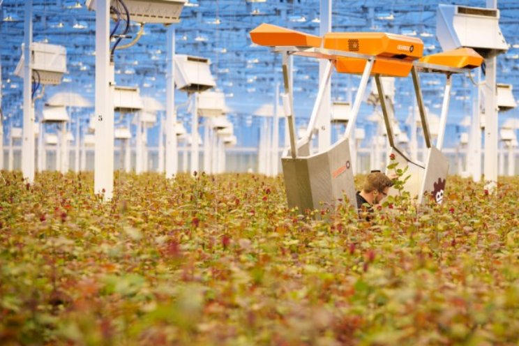 Hoe ver is tuinbouw met robotisering? Hoe ver is tuinbouw met robotisering?