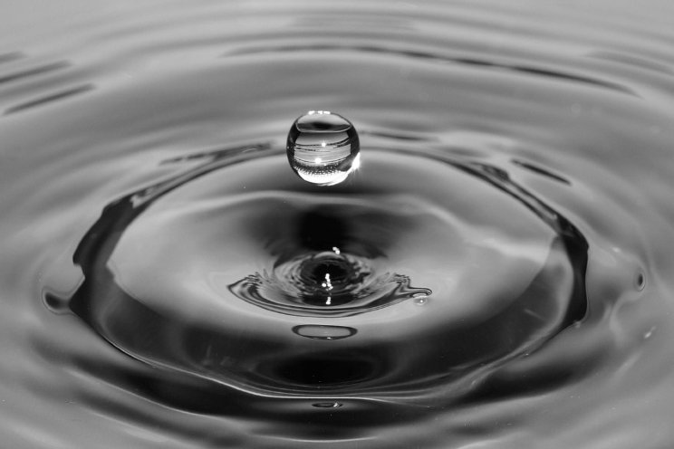 Meer onderzoek Delphy naar water en stikstof Meer onderzoek Delphy naar water en stikstof