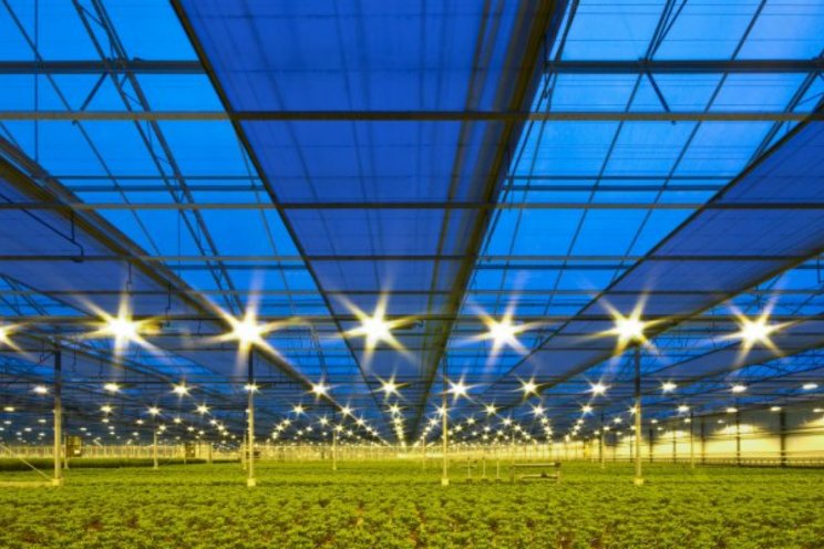Kansen circulaire tuinbouw in kaart gebracht Kansen circulaire tuinbouw in kaart gebracht