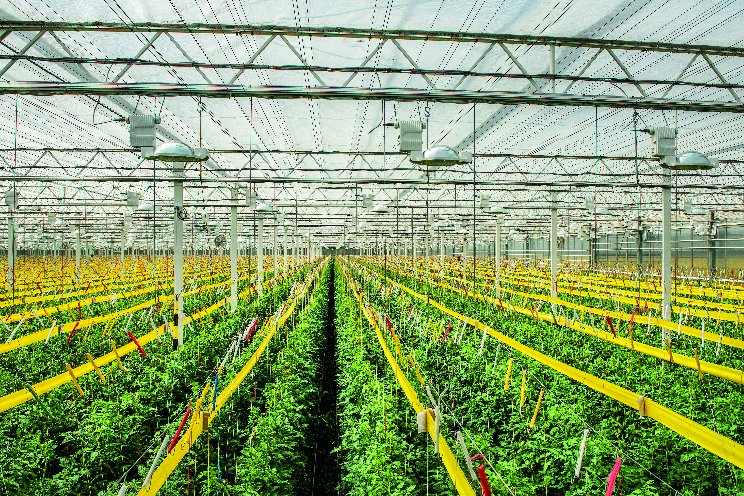 'Innoveren in duurzame productie is nodig' 'Innoveren in duurzame productie is nodig'