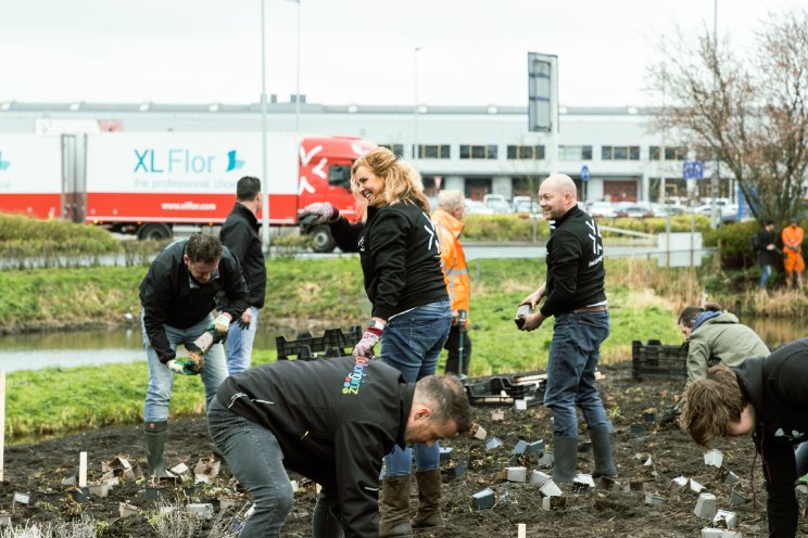 FM Group verwelkomt bijenpark in Aalsmeer FM Group verwelkomt bijenpark in Aalsmeer