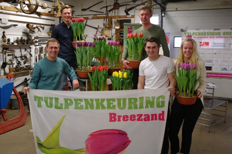 Breezand bijna weer van start met Tulpenkeuren Breezand bijna weer van start met Tulpenkeuren