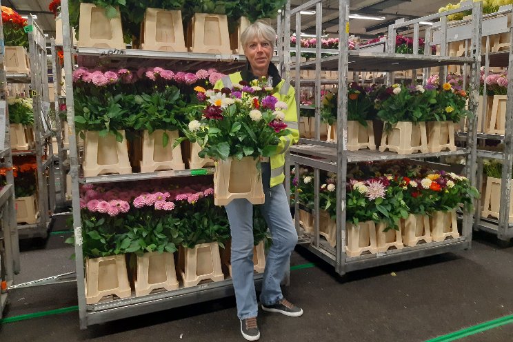 'Na de vakanties neemt de vraag weer toe' 'Na de vakanties neemt de vraag weer toe'