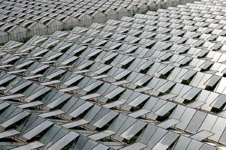 Circulaire glastuinbouw vraagt én maakt ruimte Circulaire glastuinbouw vraagt én maakt ruimte