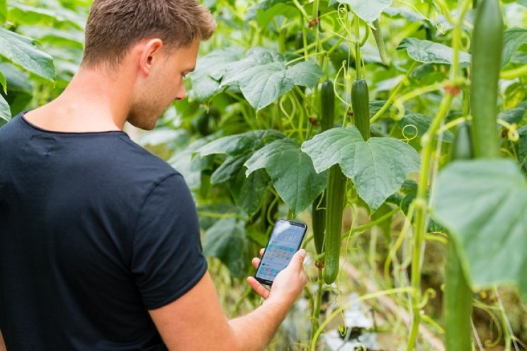 Hoe kan ik aan de slag met digitalisering in mijn teelt?