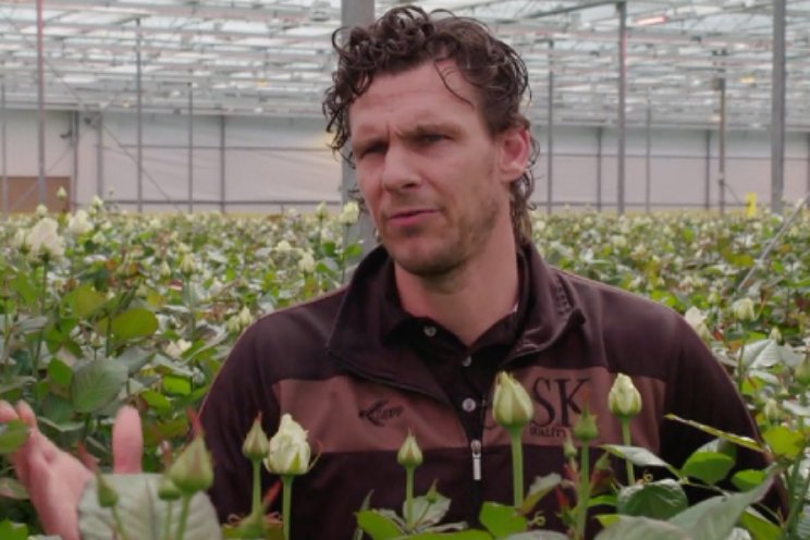SK Roses bij '5 Dagen' SK Roses bij '5 Dagen'