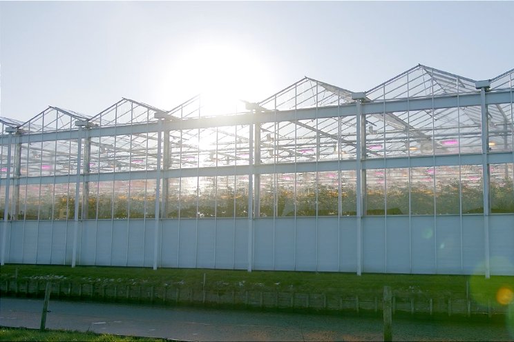 Delfland wint Waterinnovatieprijs Delfland wint Waterinnovatieprijs