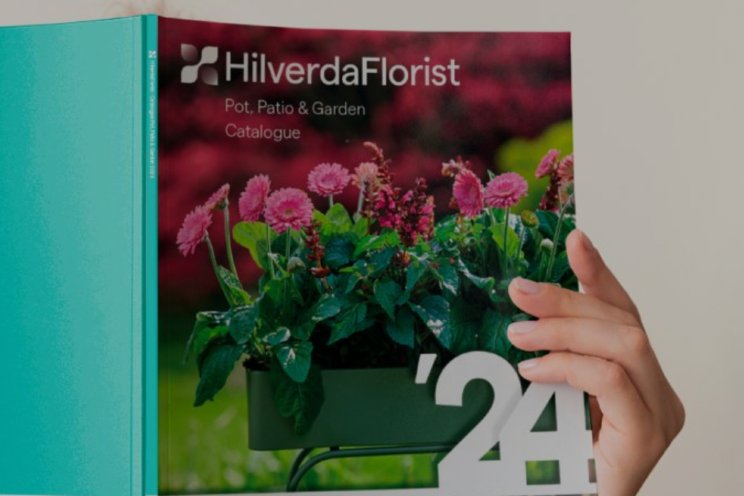 Nieuwe catalogus HilverdaFlorist Nieuwe catalogus HilverdaFlorist