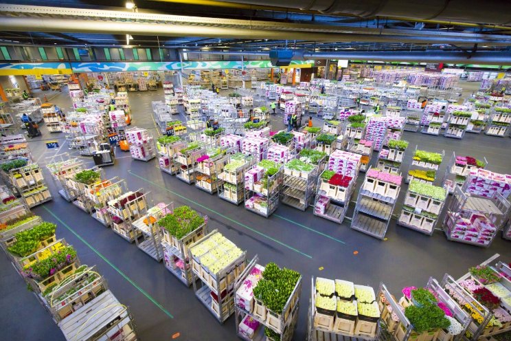 Ledenraad RFH stemt in met hogere tarieven 2023 Ledenraad RFH stemt in met hogere tarieven 2023