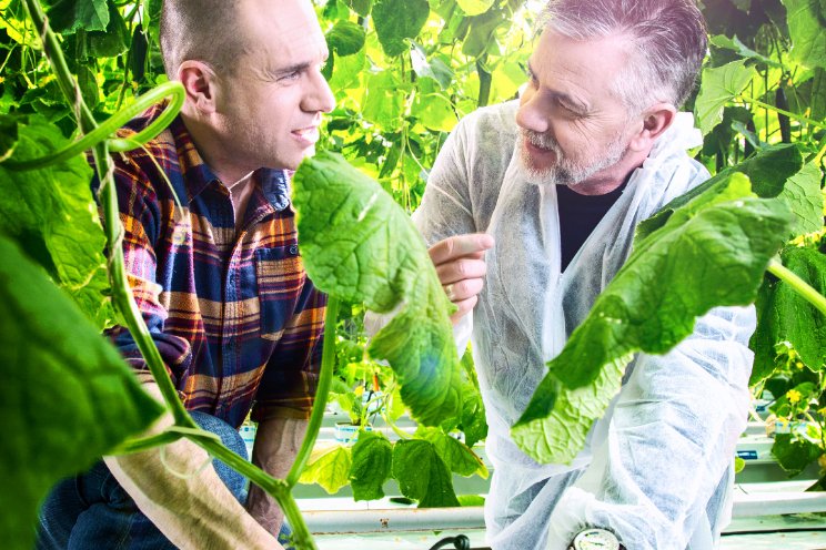 Plant Empowerment lanceert nieuw platform Plant Empowerment lanceert nieuw platform
