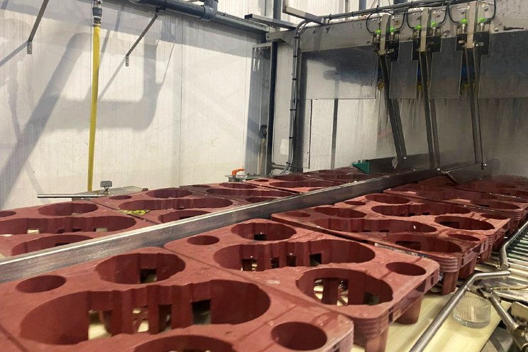Frisse en schone start voor rode plantentrays Frisse en schone start voor rode plantentrays