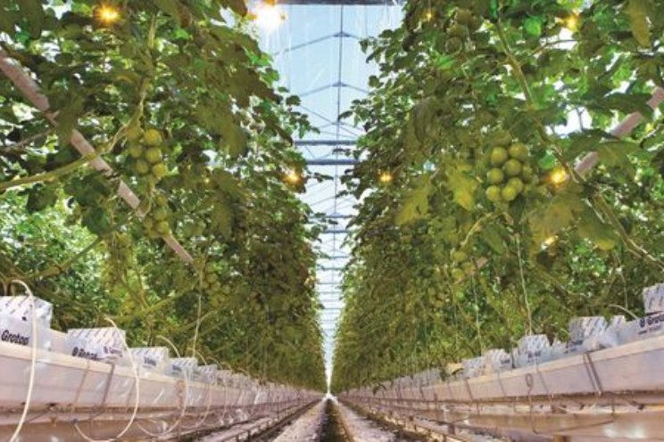 12 oktober: Water- en PlantgezondheidEvent 12 oktober: Water- en PlantgezondheidEvent